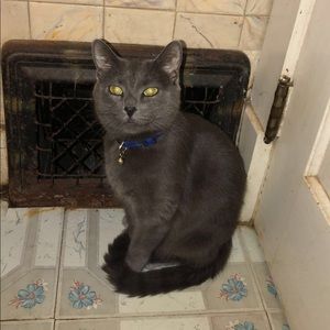 Meet your Posher, Abigail